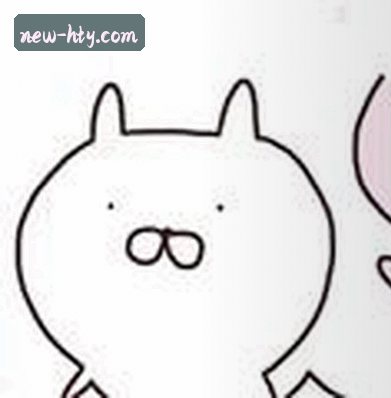 吴涛